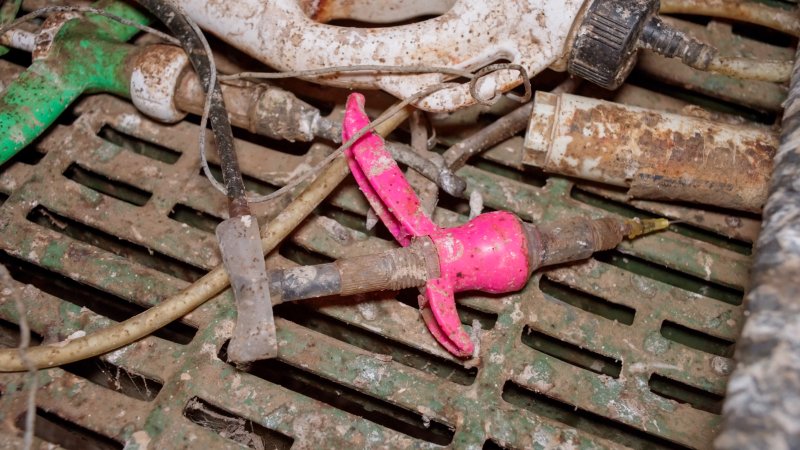 Dublin Piggery 2025