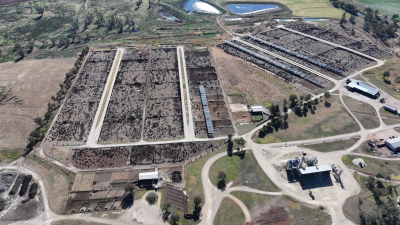 Gunnee Feedlot - Delungra NSW