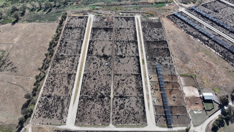 Gunnee Feedlot - Delungra NSW