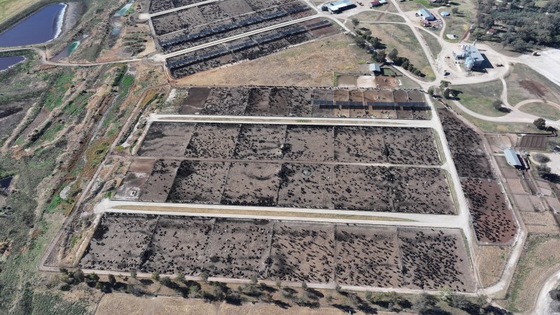Gunnee Feedlot - Delungra NSW