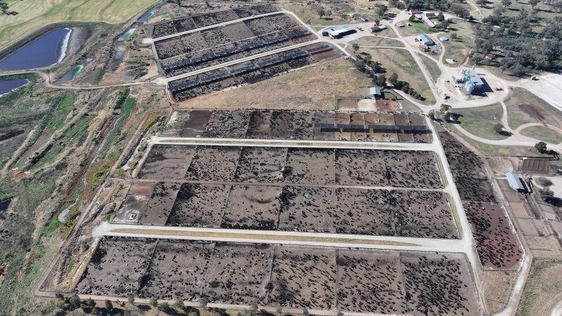 Gunnee Feedlot - Delungra NSW