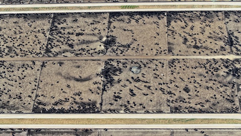 Gunnee Feedlot - Delungra NSW