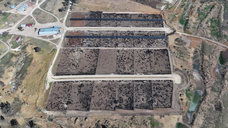 Gunnee Feedlot - Delungra NSW