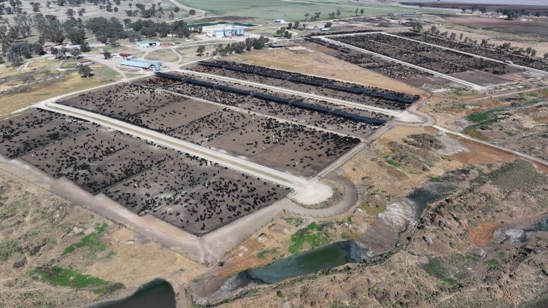 Gunnee Feedlot - Delungra NSW