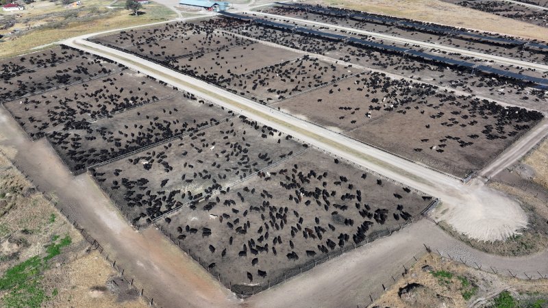 Gunnee Feedlot - Delungra NSW