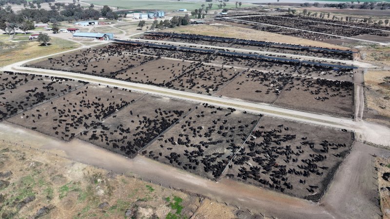 Gunnee Feedlot - Delungra NSW