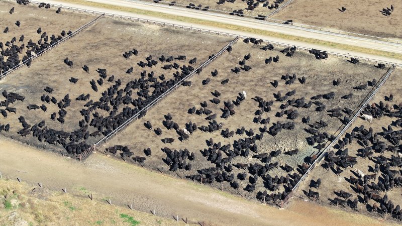 Gunnee Feedlot - Delungra NSW