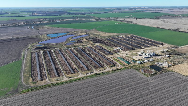 Myola Feedlot - North Star NSW