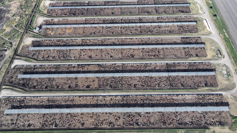 Myola Feedlot - North Star NSW