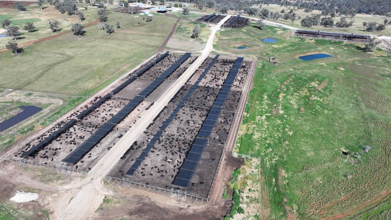 Nullamunna Feedlot - Inverell NSW