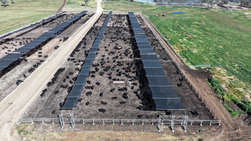Nullamunna Feedlot - Inverell NSW