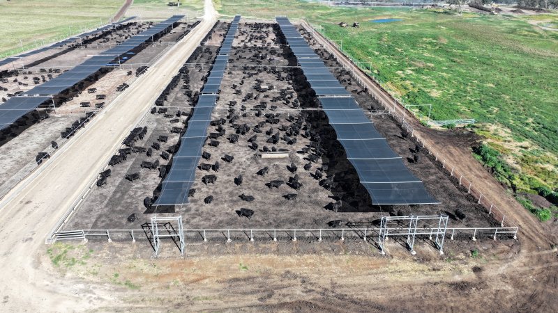 Nullamunna Feedlot - Inverell NSW