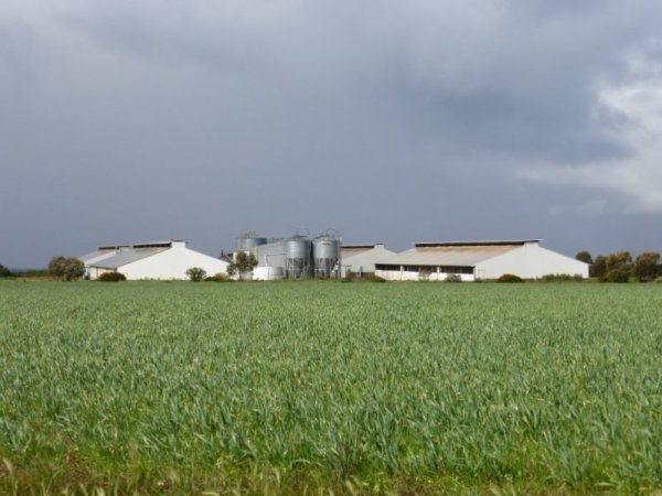 Real estate listing photo