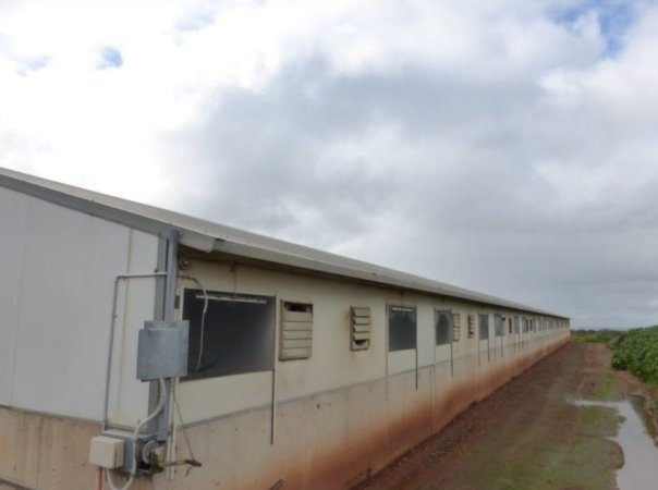 Real estate listing photo