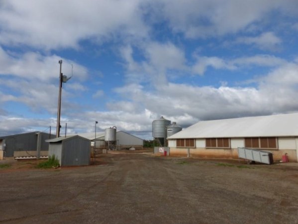 Real estate listing photo