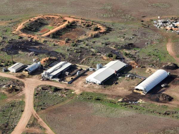 Drone flyover of piggery