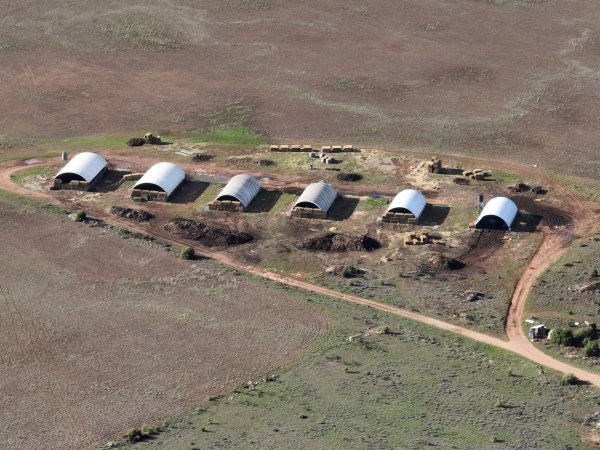 Drone flyover of piggery