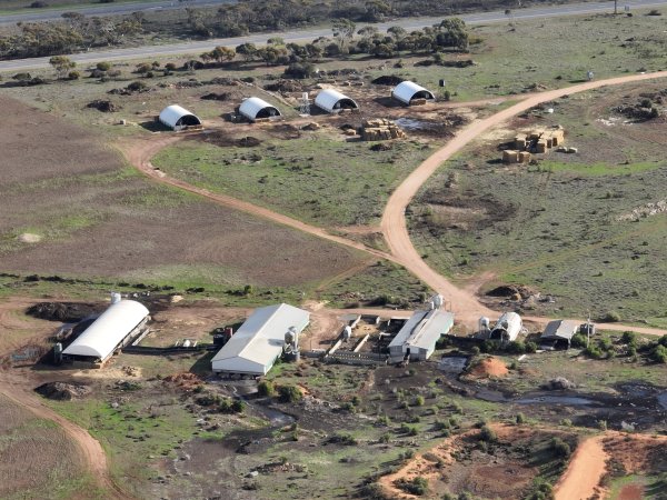 Drone flyover of piggery