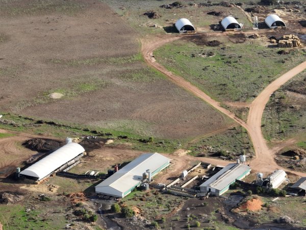 Drone flyover of piggery