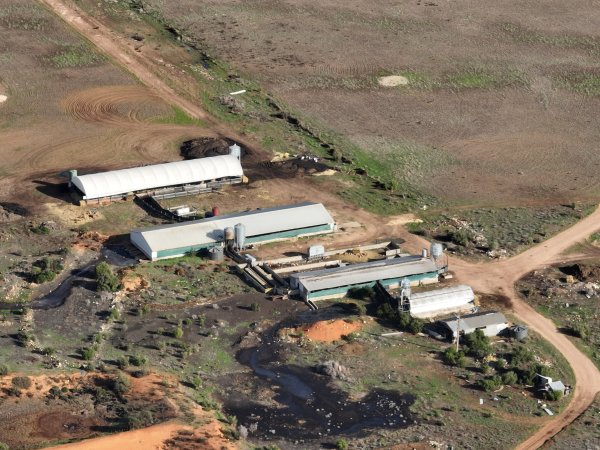 Drone flyover of piggery