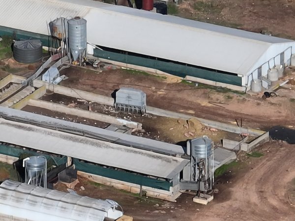 Drone flyover of piggery