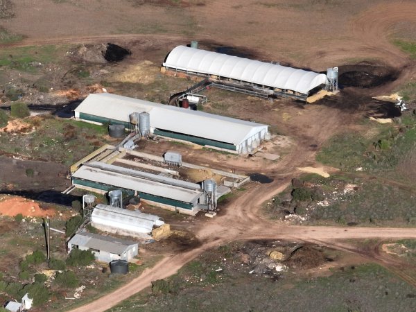 Drone flyover of piggery