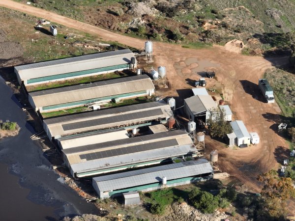 Drone flyover of piggery
