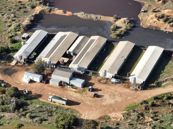 Drone flyover of piggery