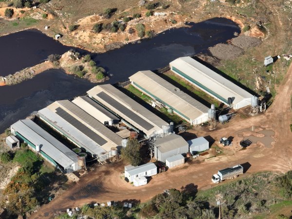 Drone flyover of piggery