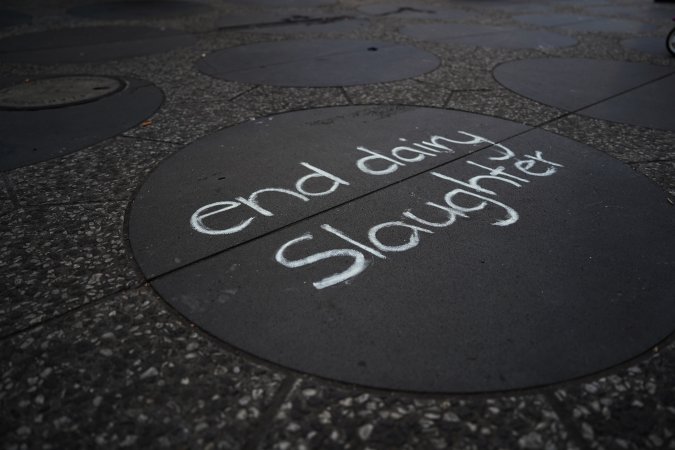 5 Question Challenge: Dominion Outreach Melbourne: 15 June 2025