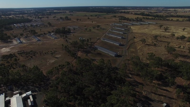 Drone flyover of hatchery
