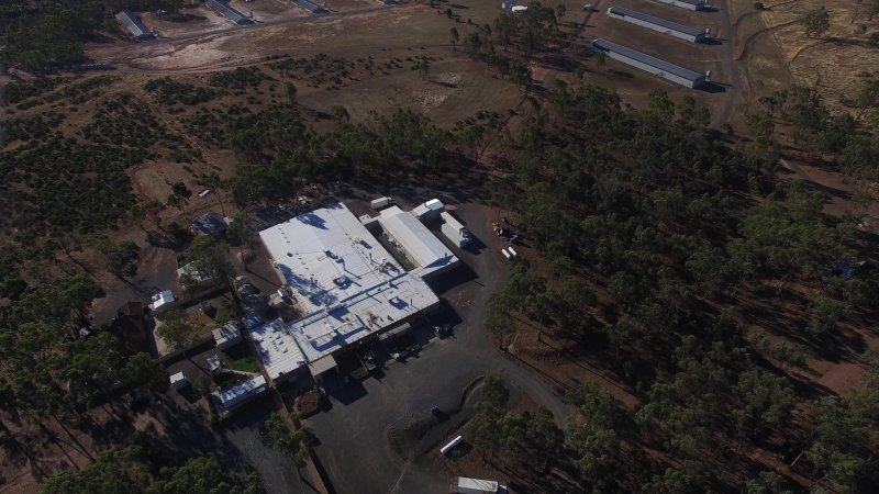 Drone flyover of hatchery