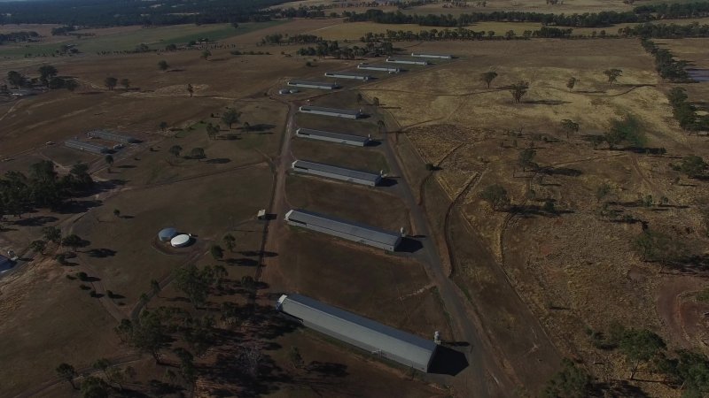 Drone flyover of hatchery