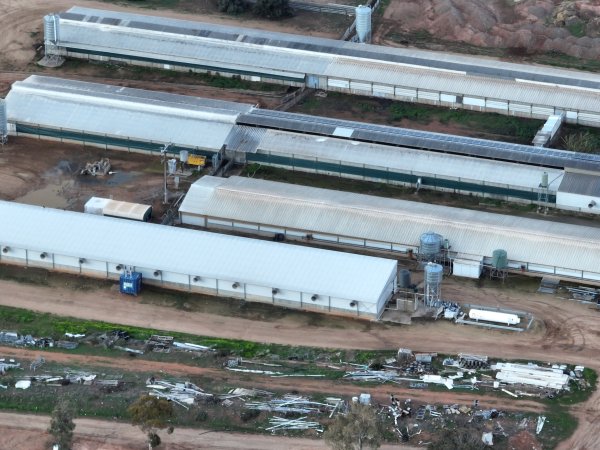 Drone flyover of piggery