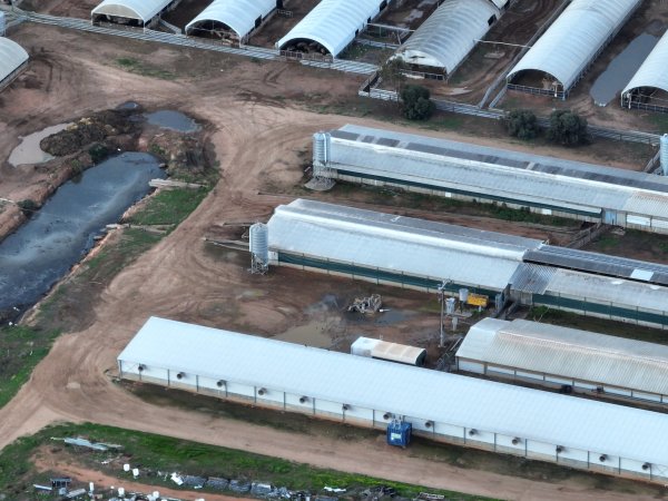 Drone flyover of piggery