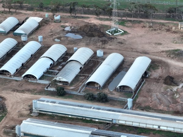 Drone flyover of piggery