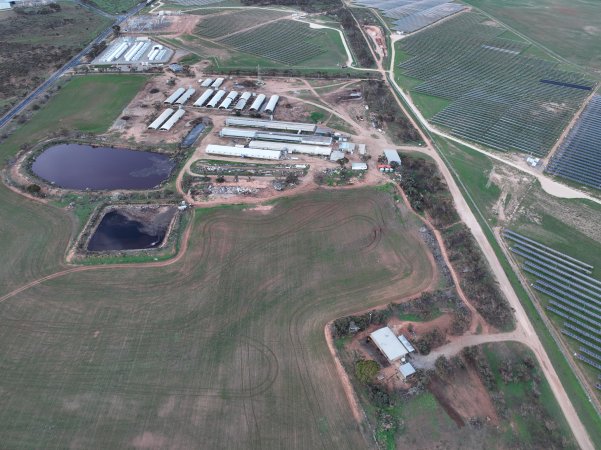 Drone flyover of piggery