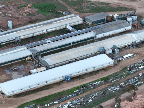 Drone flyover of piggery