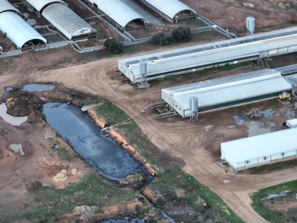 Drone flyover of piggery