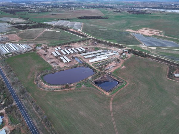 Drone flyover of piggery
