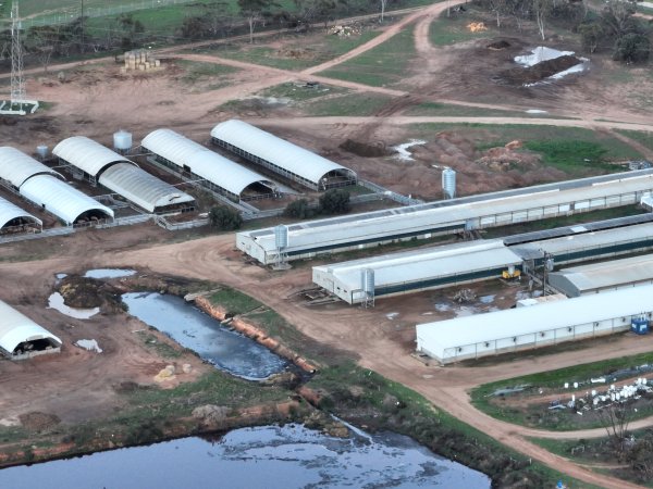 Drone flyover of piggery