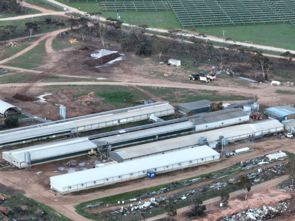 Drone flyover of piggery