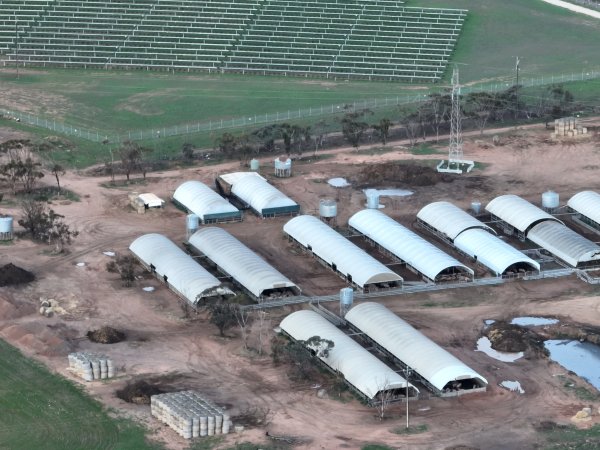 Drone flyover of piggery