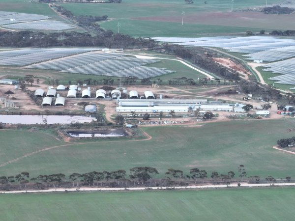 Drone flyover of piggery