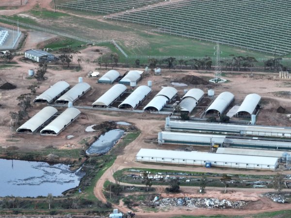 Drone flyover of piggery