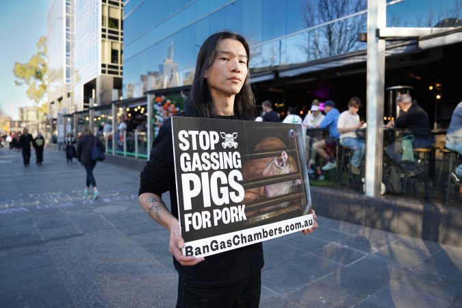 3 August 2025: Dominion Outreach Melbourne: Shut Down Slaughterhouses