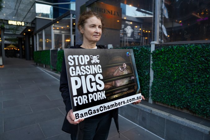 3 August 2025: Dominion Outreach Melbourne: Shut Down Slaughterhouses
