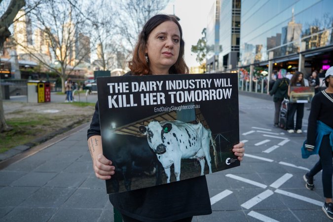 3 August 2025: Dominion Outreach Melbourne: Shut Down Slaughterhouses