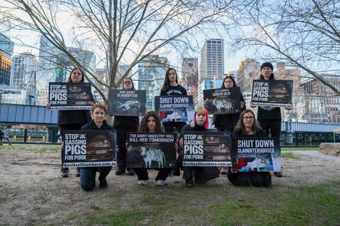 3 August 2025: Dominion Outreach Melbourne: Shut Down Slaughterhouses