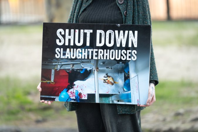 3 August 2025: Dominion Outreach Melbourne: Shut Down Slaughterhouses